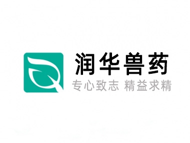 关于永乐高70net